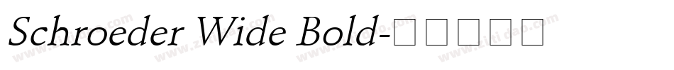 Schroeder Wide Bold字体转换